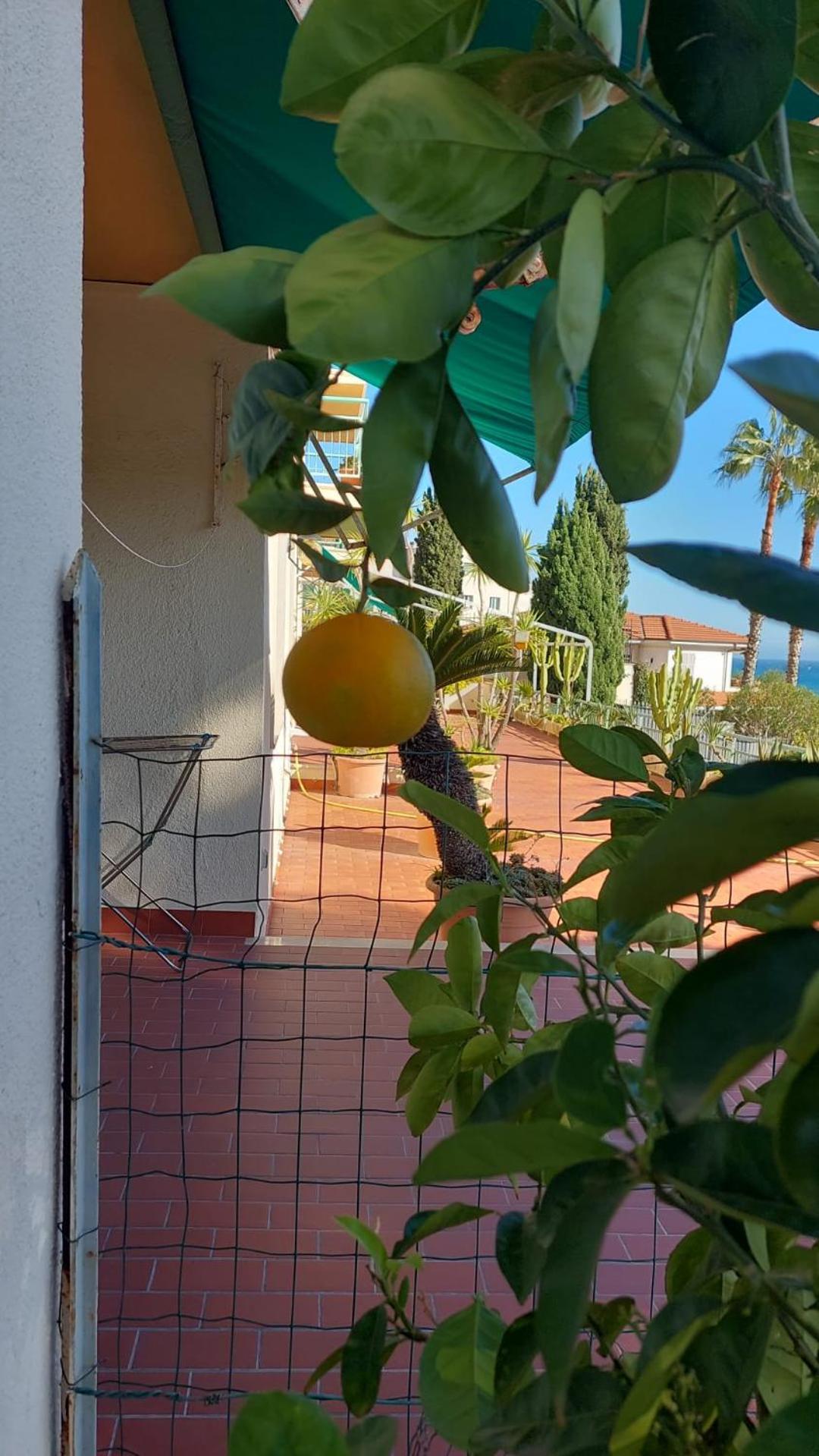 Giangi'S Home سانريمو المظهر الخارجي الصورة